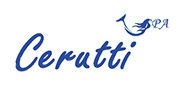 Ceruttispa