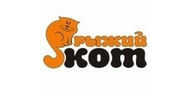 Рыжий кот