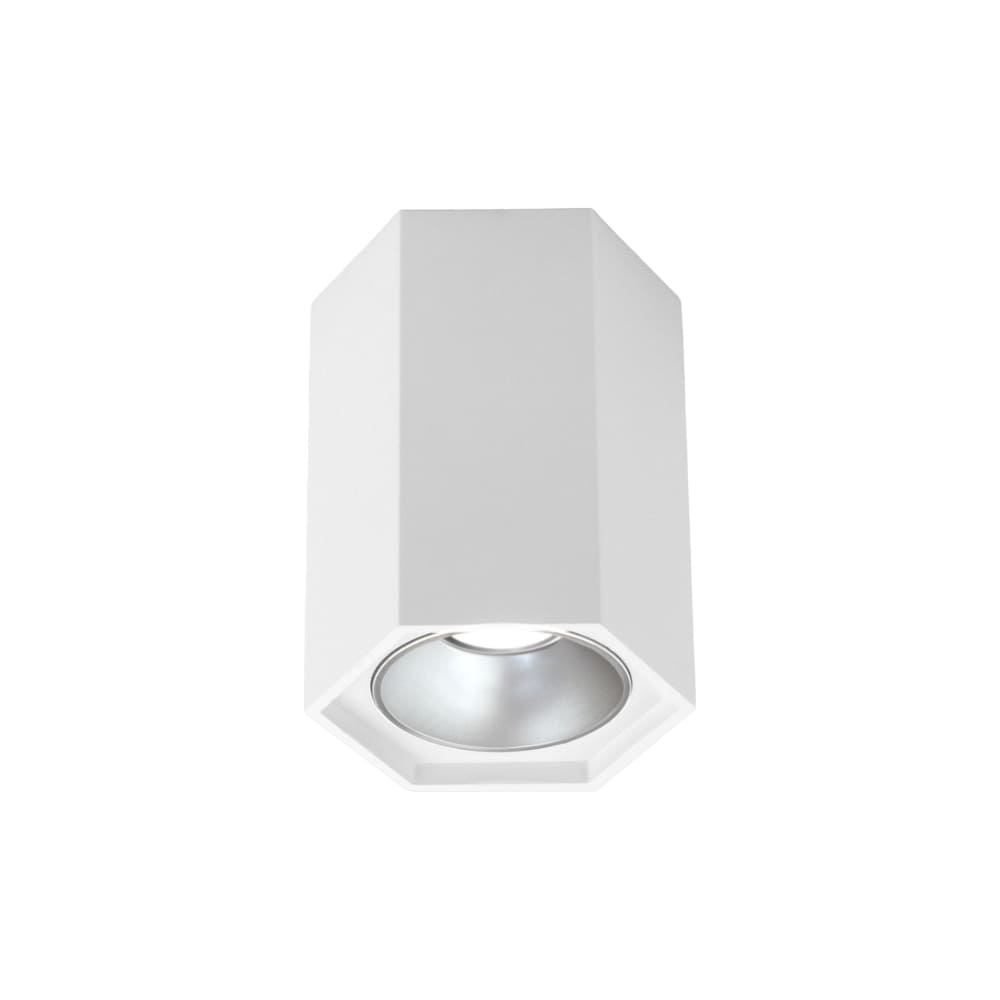 Накладной светодиодный светильник Elektrostandard a055856 25036/LED (белый)