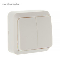 Выключатель Smartbuy Юпитер SBE-03W-10-SW2-0 10A (2-клавишный белый накладной)