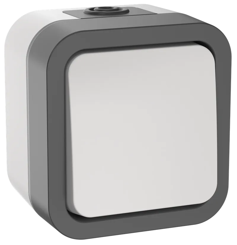 Выключатель TORS TS-V14-0-10-55-K41 10A IP55 (кнопочный белый 1515765)