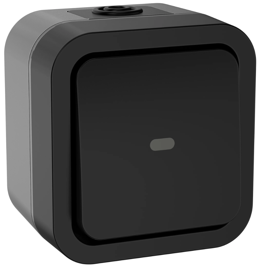 Переключатель одноклавишный с индикацией TORS 10А IP55 графит TS-V10-1-10-55-K53