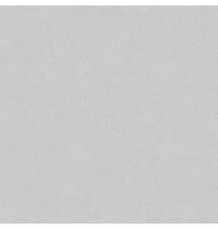 Обои Andrea 60676-06 (винил на флиз осн гор тисн 10,05*1,06 м)