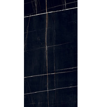 Керамогранит PGT120609705SGR Dorato_PGT (черный 60x120 _ 1\46,09)