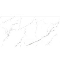 Керамогранит Statuario Wonderful x9999304576 (белый 60х120 полированный)