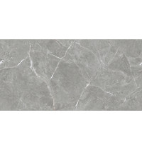 Керамогранит Stone Cool Grey x9999304586 (серый 60х120 полированный)