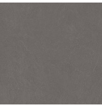 Керамогранит Stone Notable Ash x9999304518 (темно-серый 60х60 матовый)