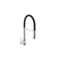 Смеситель для кухни Eva Gold FK13C 161390 (латунь хром)