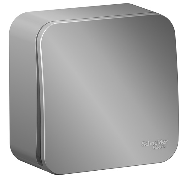 Выключатель Schneider Electric Blanca 10А (1-клавишный, алюминий)