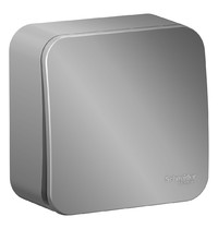 Выключатель Schneider Electric Blanca BLNVA101003 10А 250В (1-клавишный, алюминий)