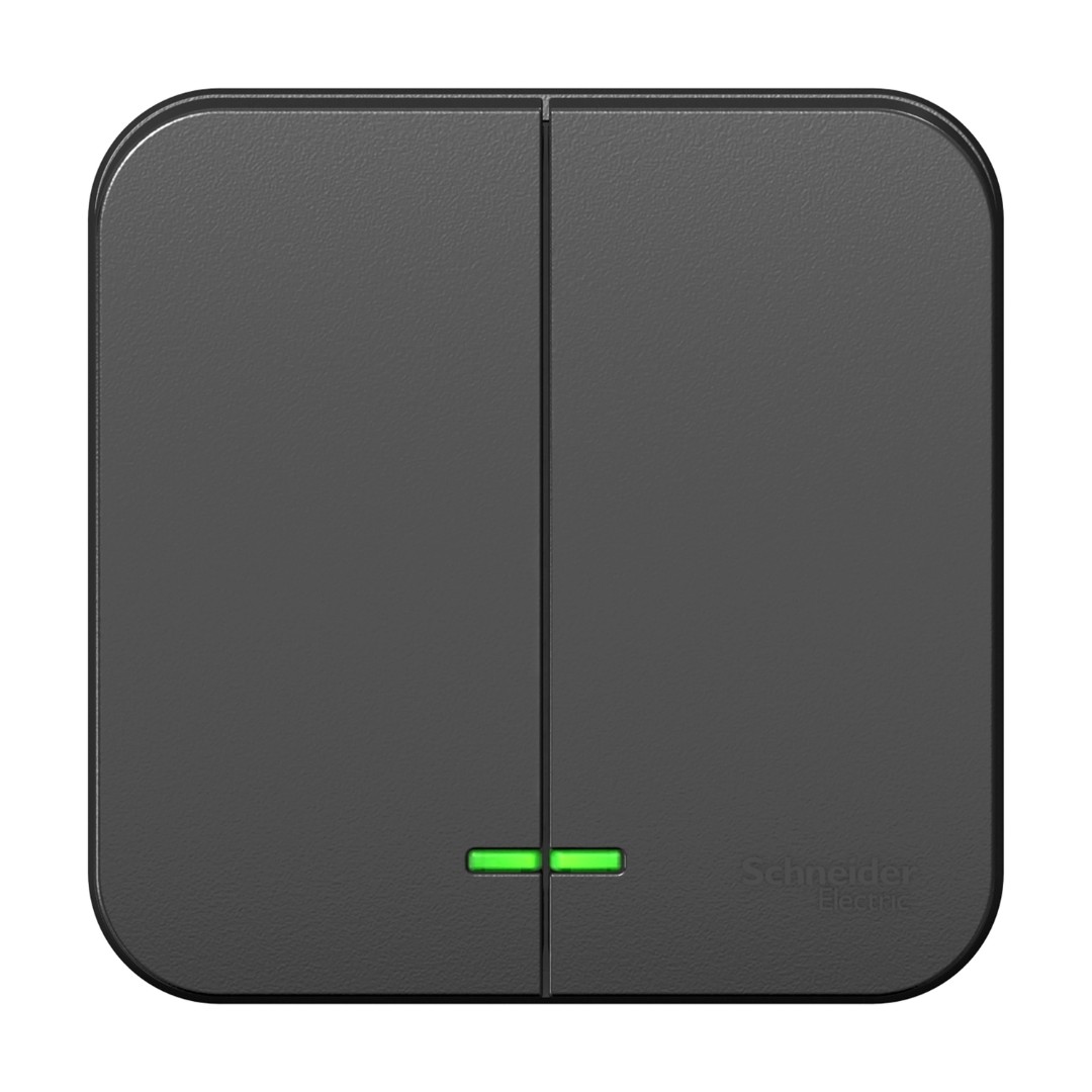 Выключатель Schneider Electric Blanca BLNVA105106 10А 250В (2-клавишный, с подстветкой, антрацит)