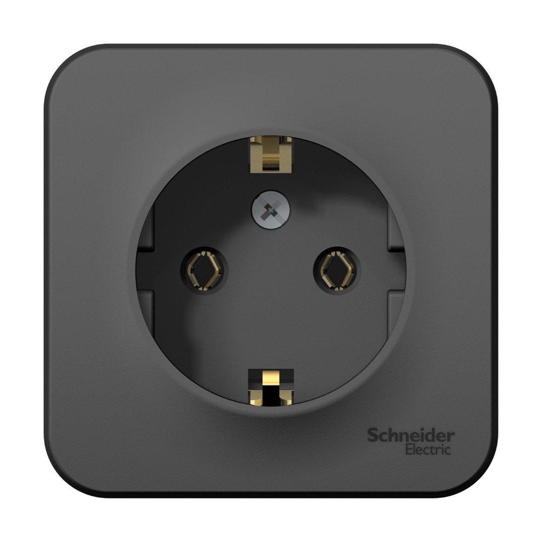 Розетка штепсельная Schneider Electric Blanca BLNRA010106 16А 250В