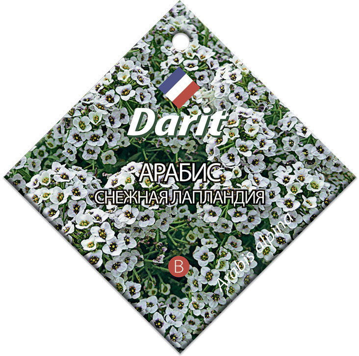 Семена Darit Арабис Снежная Лапландия альпийский 5636 М*0,2г