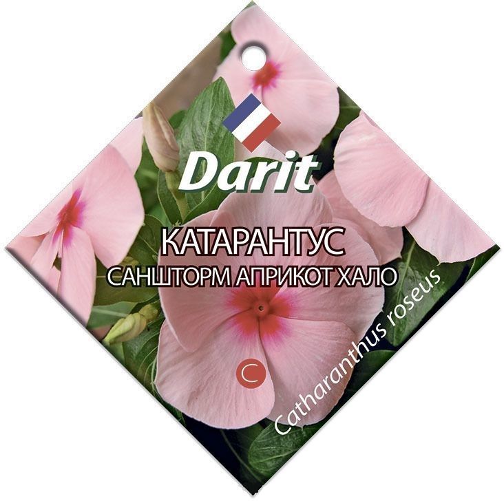 Семена Darit Катарантус Саншторм Априкот Хало 5688 О*10шт