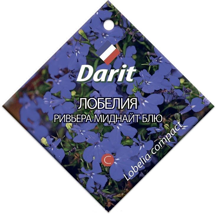 Семена Darit Лобелия Ривьера Миднайт Блю 5693 О*10шт