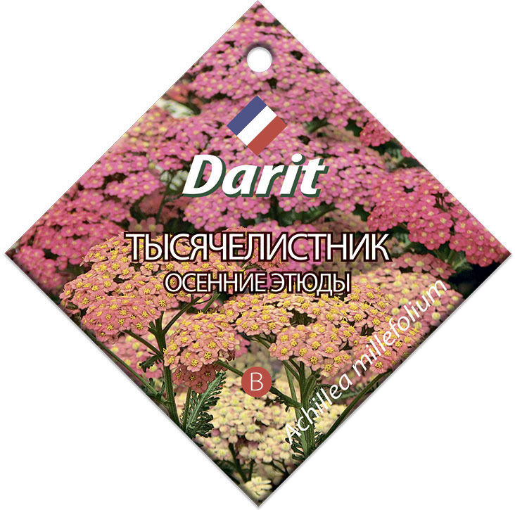 Семена Darit Тысячелистник Осенние этюды 5659 М*0,1г