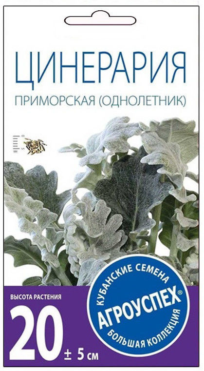 Семена Агроуспех Цинерария Приморская 33311 О*0,1г