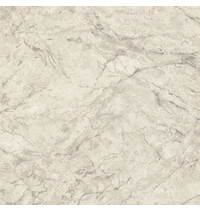 Обои виниловые Euro Decor Domus 7170-02