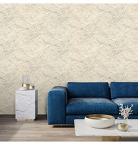 Обои виниловые Euro Decor Domus 7170-01