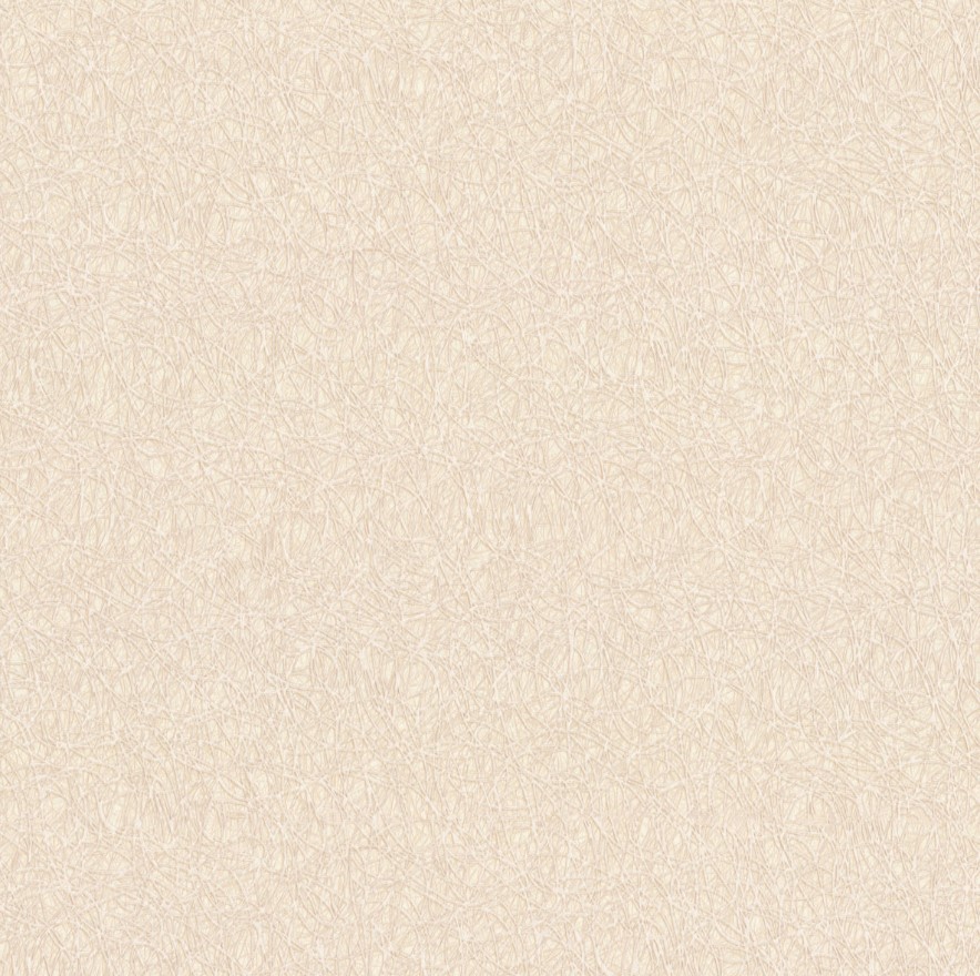 Обои виниловые Ornamy Magic 8038-01