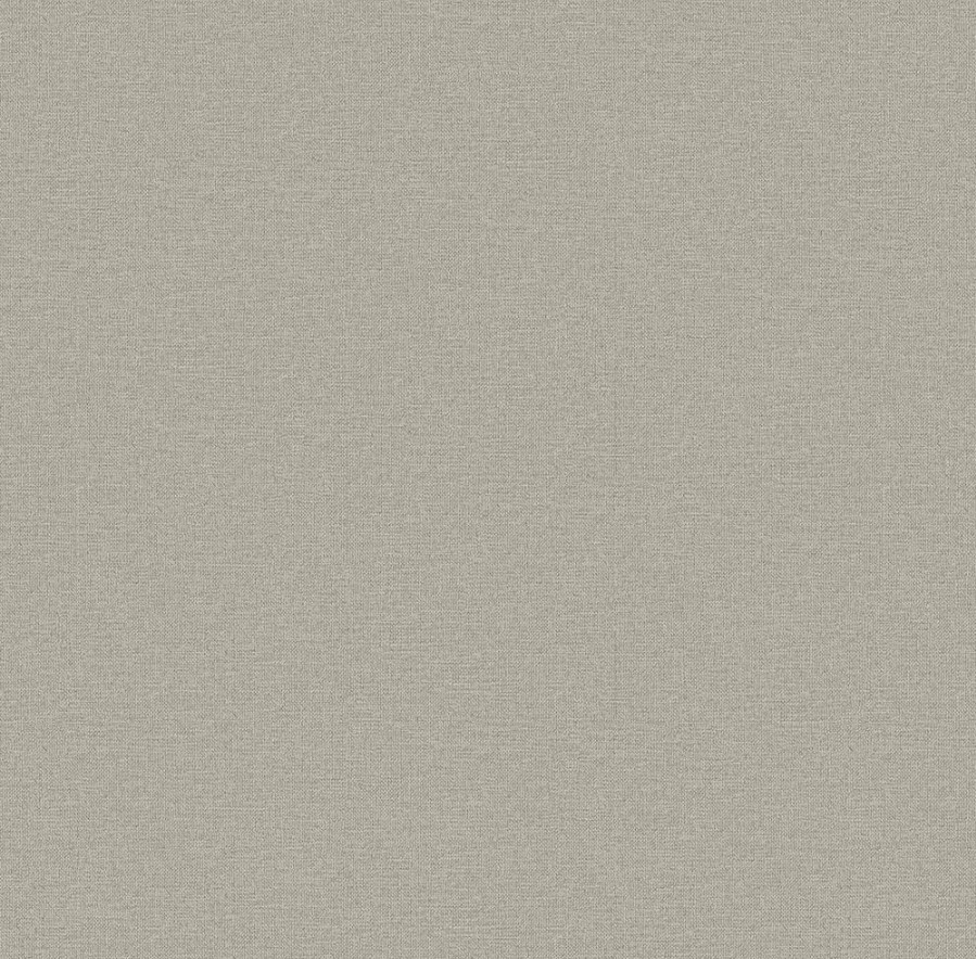 Обои виниловые Erismann Basic 60095-06 10,05м х 1,06м (на флизелиновой основе, горячего тиснения)