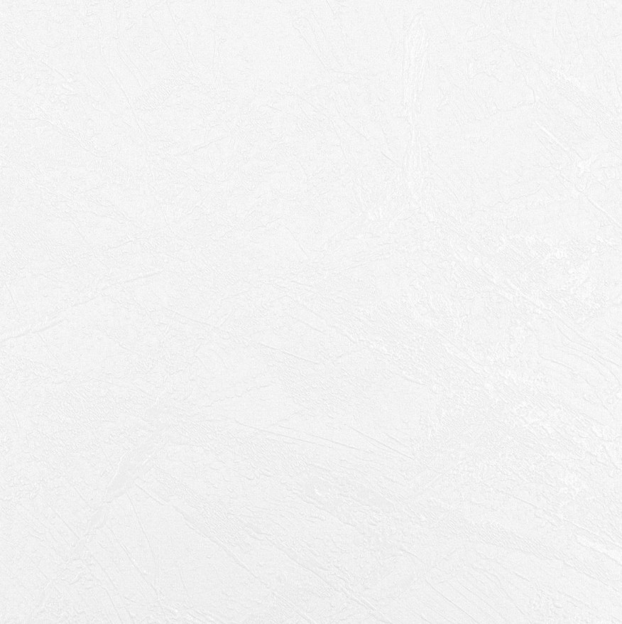 Обои виниловые Erismann StarWay 60466-04 10,05м х 1,06м (на флизелиновой основе, горячего тиснения)