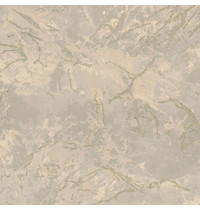 Обои виниловые Euro Decor Sultan 7136-10