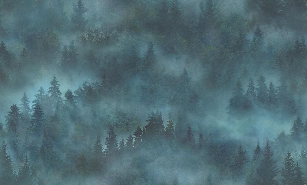 Обои виниловые Home Color My Forest HC71960-67