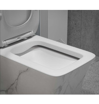 Монолитный унитаз Eva Gold SM9615 (сиденье дюропласт, с гофрой и подводкой, мрамор)