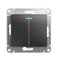 Выключатель Schneider Electric Glossa GSL001353 10A IP20 10AX (2-клавишный, с подстветкой, графит)